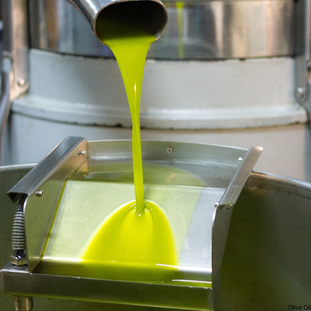 Avocado oil extraction 